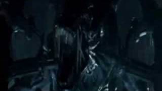 Watch Rammstein Zwitter video