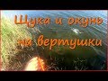 Вечерняя ловля щуки и окуня на вертушки Вечерняя ловля щуки и окуня на вертушки