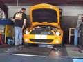Turbo Shelby GT-500 Dyno pull 1 of ?