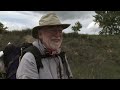 Trailer Preview (NEW!) - The Camino Documentary (ENG)