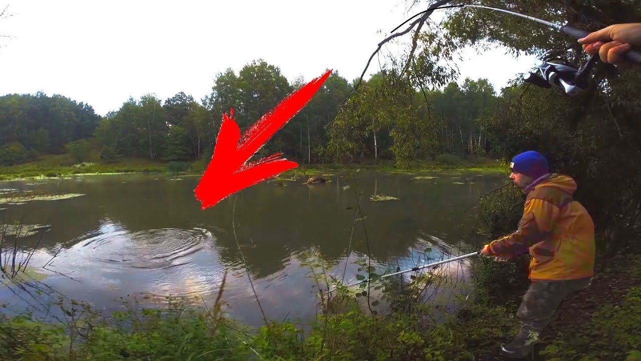 места клева видео места клева видео