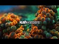 #002 Liquid Love (Liquid Drum & Bass Mix)