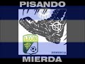 TOROS CELAYA