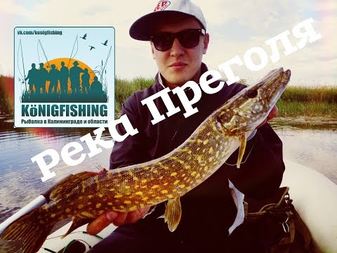 рыбалка на карьерах калининградской области рыбалка на карьерах калининградской области