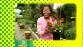 Watch Boogie Beebies Gardening video