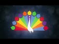 (NBC