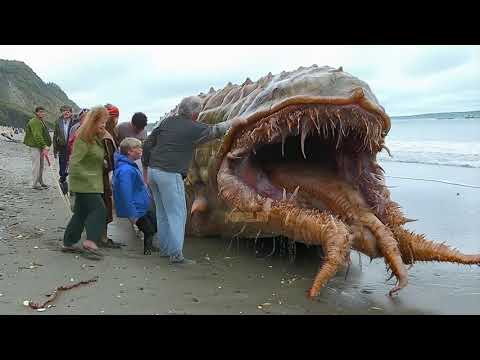 Stranded Deep Sea Creature Series - 9 🐙 🦑 🦐 🦀 #fishingexploration #deepseafishing