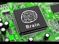 Alan Watt - Mapping Your Brain by Video Game