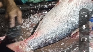গরমর মছ কটর লইভ Village Fish Cutting Live Fish Market Live Show