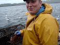Fishing with Creels for Lobster At the May Island Anstruther Fife Scotland