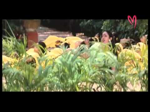 MaaMusic - Sthreela kosam: Rivvuna agiray guvvala