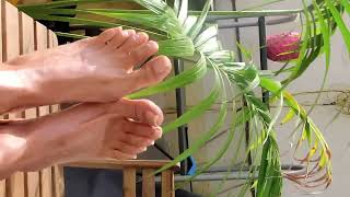 Natural Toe Nails