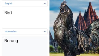 Bird In Different Languages Meme