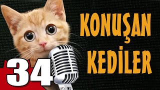 Konuşan Kediler 34 - En Komik Kedi ları
