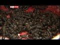 Leeches Pump Blood Into Russian Economy As Surge In Use For Medical And Beauty Reasons