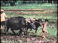 Indonesia jaman dulu