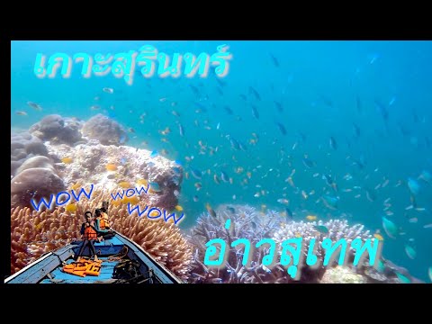 ดำน้ำอ่าวสุเทพ เกาะสุรินทร์2020 ep5