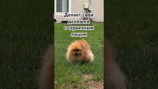 Ещё Обязательно На Меня Надо Смотреть