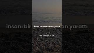 Nahl Suresi 3-4-5-6-7-8. Ayeti