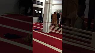 Wawa Funny Moments