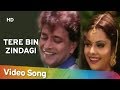 Tere Bin Zindagi (HD) | Heeralal Pannalal (1999) | Mithun Chakraborty | Bollywood Romantic Song