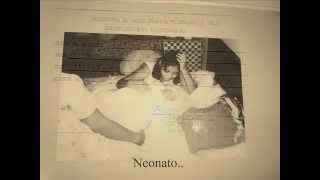 Ciclo Vital - Stefany Cruz Alzate Wmv