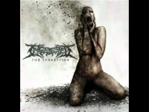 Kingmaker Video