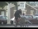 How To Weld A Sidecar To Your Bike Parma Style Part 11