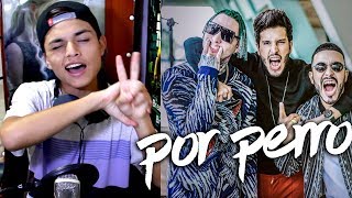 Sebastián Yatra Por Perro Ft Luis Figueroa Lary Over Reaccion Sebastián Yatra Por Perro Ft Luis Figueroa Lary Over Reaccion