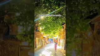 Nankör Insan Sen Ne Yaparsan Yap Değişmez..