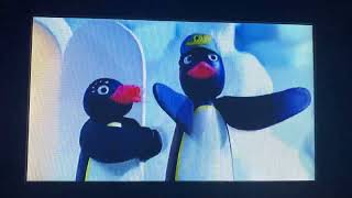 Stinky Pingu Dvd Clip