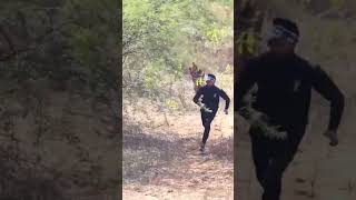 Big Snake Attack 2 - New Video Hd
