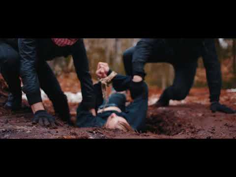 Perfect Pulse Video
