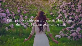 The most beautiful Love Quotes The most beautiful Love Quotes