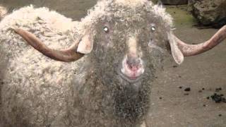 Watch Nunslaughter Satanic video