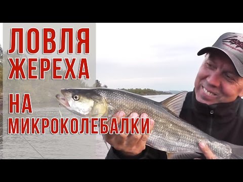 Папка для выпускника своими руками Папка для выпускника своими руками