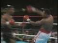 Mike Tyson Highlight Reel