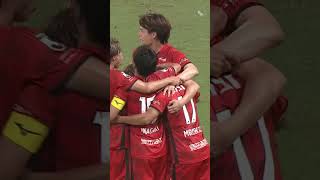 4m6SreZ9Qqk Video Image