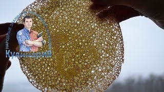 Тонкие блины в дырочку на кефире с кипятком Тонкие блины в дырочку на кефире с кипятком