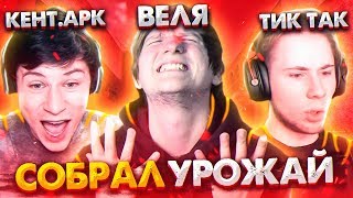 Собрал Урожай Из Тик Така, Вели И Кент Апк! Кто Играет Лучше Из Них?!