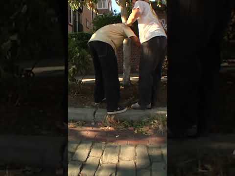 Cal takes a gnarly slam #pizzaskateboards #skateboarding