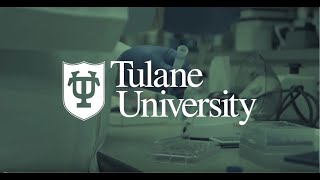 COVID-19: Your questions answered by Tulane doctors and experts
