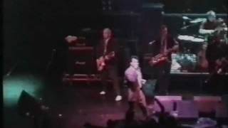 Watch Mighty Mighty Bosstones That Bug Bit Me video