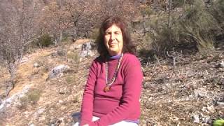 COMMENT SOUTENIR LES ELEMENTAUX (peuple de la nature)