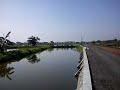 Ka Argo Anggrek Bawa Pulang Nusantara images Ka Argo Anggrek Bawa Pulang Nusantara