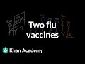 Two flu vaccines (TIV and LAIV) | Infectious diseases | Health & Medicine | Khan Academy