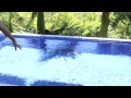 Taking my family to Paradise (Family Vlog)