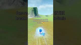 Sonic Fans Modded The Entire Breath Of The Wild Map Into Frontiers