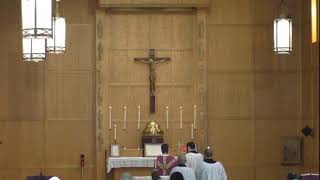 Sexagesima Sunday at St. Alban's Catholic Church – February 7, 2021