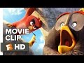 Youtube Thumbnail The Angry Birds Movie CLIP - Mighty Eagle Noises (2016) - Jason Sudeikis, Josh Ga Movie HD